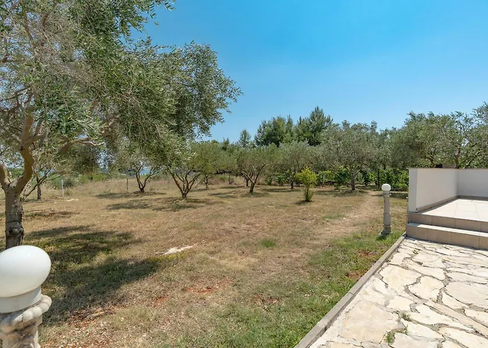 Apartment Snjeza *