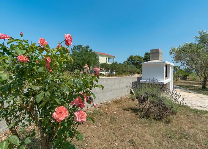 Apartment Snjeza Vir