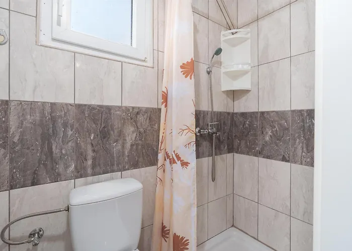 Apartment Snjeza